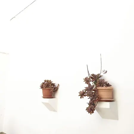 Casa Stella San Donato di Lecce